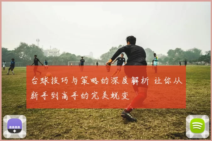 台球技巧与策略的深度解析 让你从新手到高手的完美蜕变