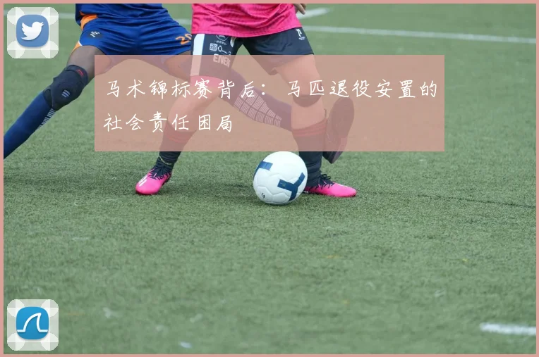 马术锦标赛背后：马匹退役安置的社会责任困局