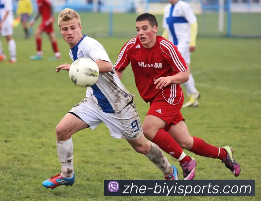 必一体育APP 高清赛事图